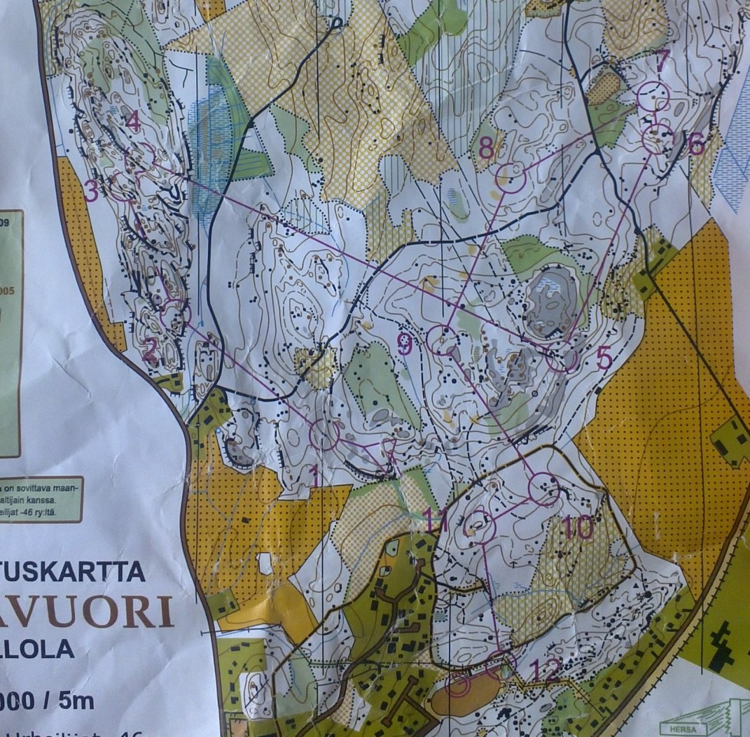 Hollola-rastit H40 (15/09/2013)