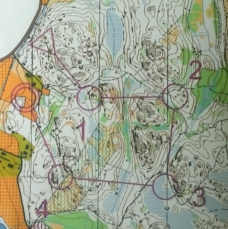 KU rastit, 1.6 km, 71 min (2013-08-15)