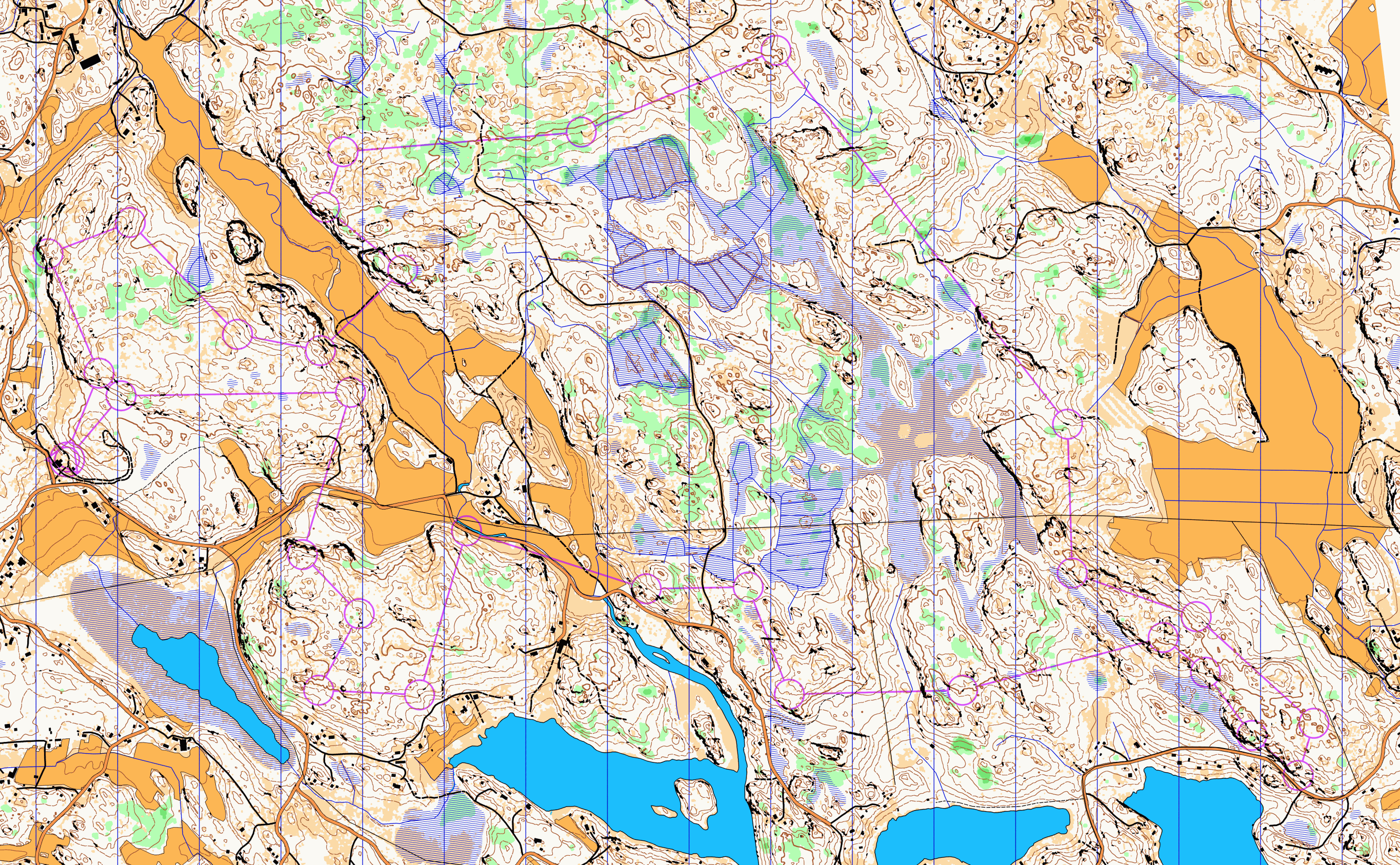 Long training with karttapullautin map (16/11/2013)