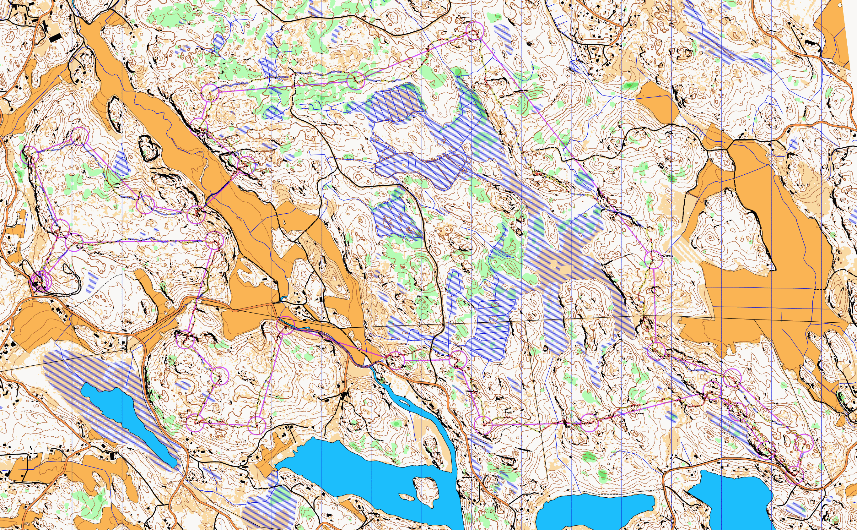 Long training with karttapullautin map (16/11/2013)